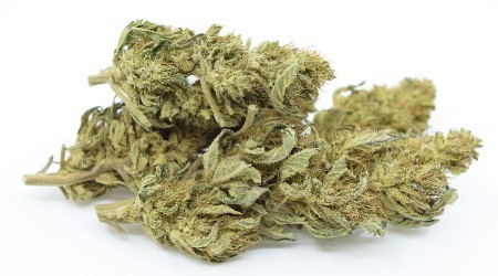 First Grade Outdoor CBD Flowers CBD <7% THC <0.2% 100g 250g 500g 1kg 5kg