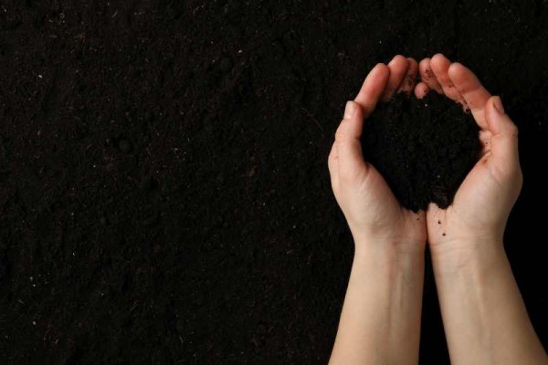 woman-hold-soil-on-soil-background