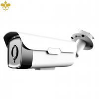 2 MP Outdoor Infrarot Überwachungskamera mit lichtempfindlichen Bildsensor und wetterfestem Gehäuse