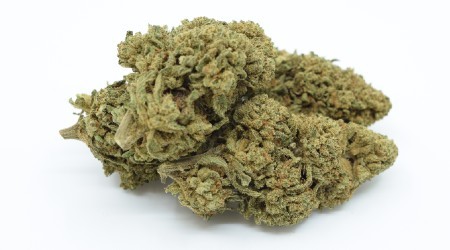 Premium Greenhouse CBD Flowers 2020 CBD <7% THC <0.2% 100g 250g 500g 1kg 5kg